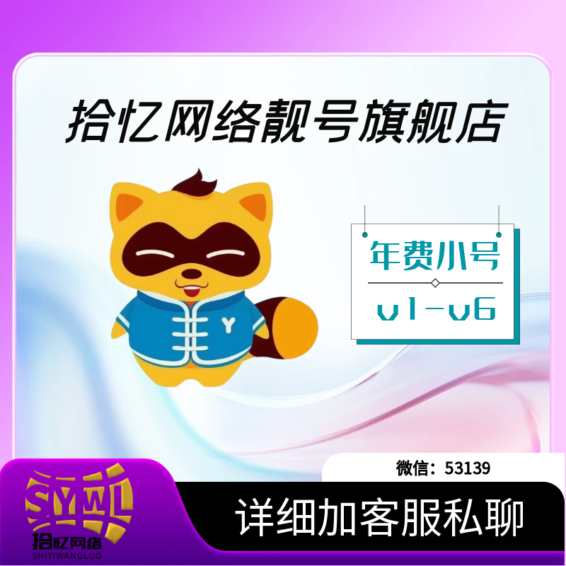 年费小号V1-V6